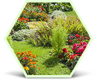 Projekty zahrad